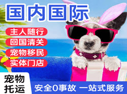 桂林空运国际宠物托运 【国